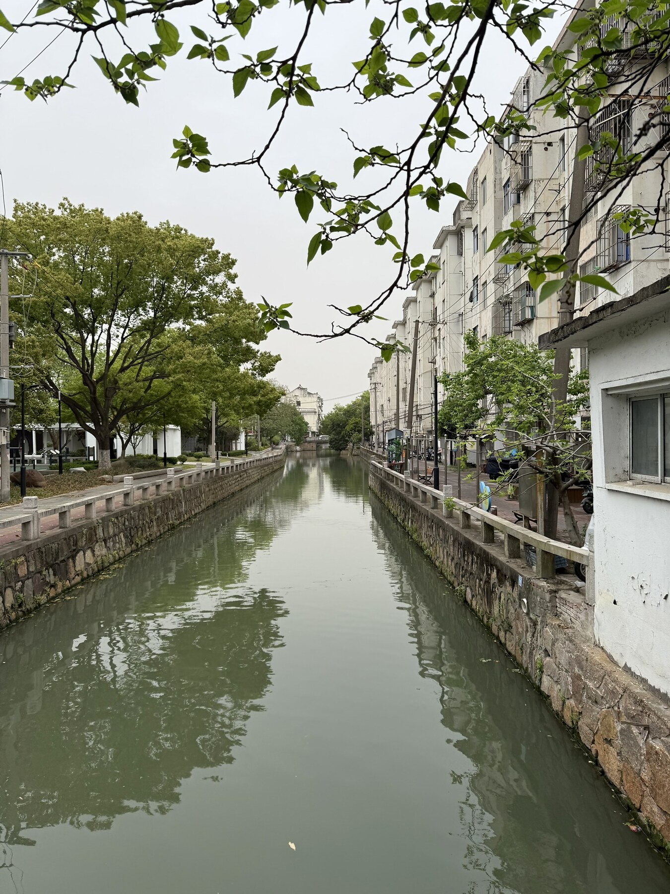巷子里的小河